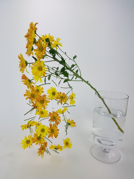 Easy and convenient way to securely hang flowers on a line