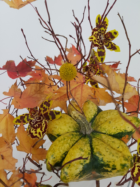 Pumpkin and oncidium orchid Halloween flower arrangement.