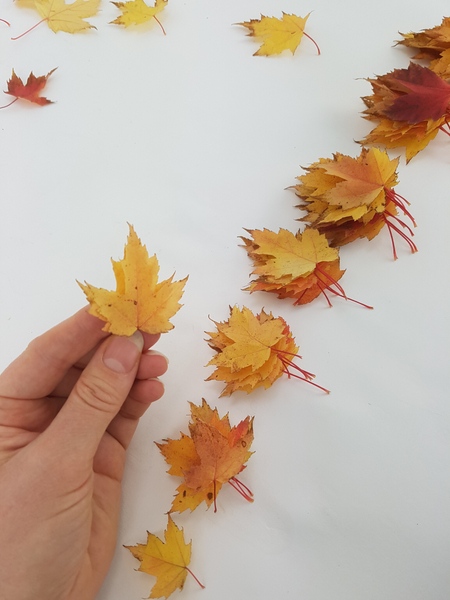 Set aside the two smallest leaves to use as a tree topper