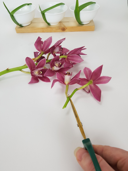 Snip the orchids from the stem.