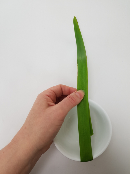 Wrap the blade of grass around the container