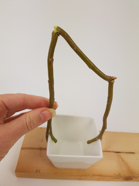 Fit the twig so that it pinches the sides of the container