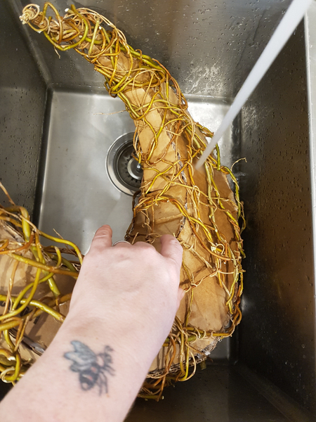 Soak the cardboard and willow in warm water