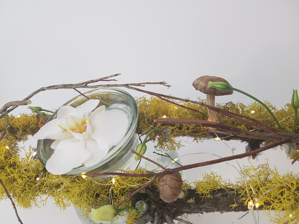 Floating orchids Floating orchids