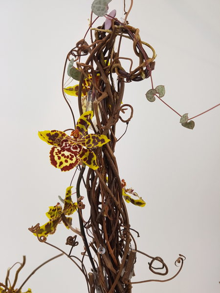 Oncidium orchid vine chandelier floral design
