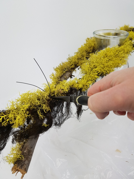 Place the two lichen covered branches to overlap around the neck of a curvy vase