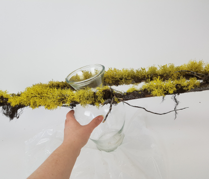 Long Lichen branches to dress up a curvy vase