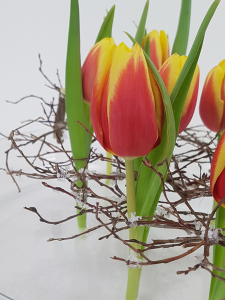 Tulips in a winter floral design