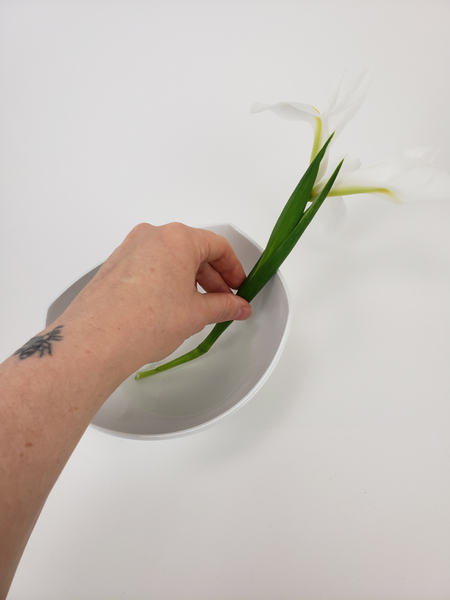 Add a bit of water to the first bowl and set the flower at an angle to rest in the water