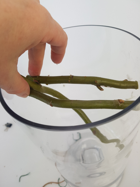 Cut two sturdy willow twigs to wedge into the glass container