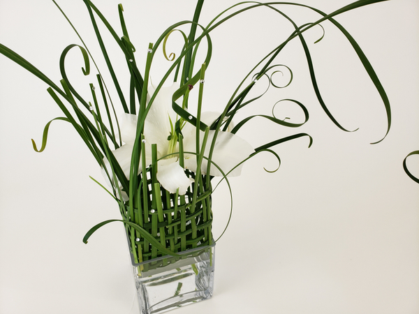 Easter lily in a basket