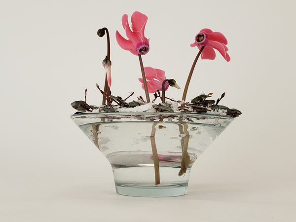 Ceropegia woodii and Cyclamen floral art design
