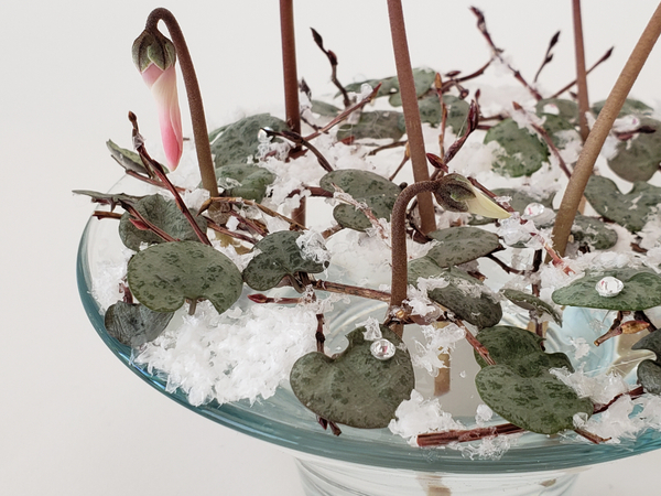 Cyclamen bud in a flower arrangement