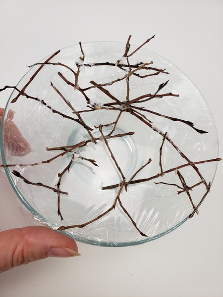 Do not let the stems extend past the edge of the container Do not let the stems extend past the edge of the container