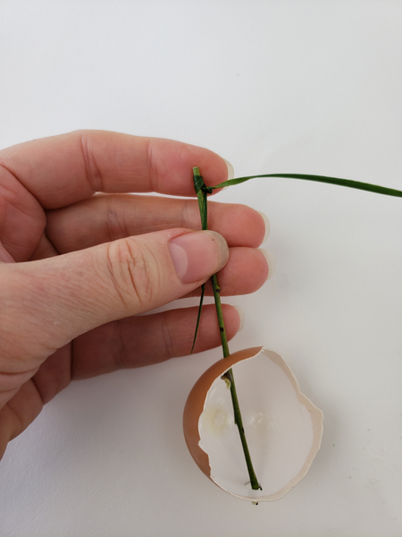 Knot the grass around one side of the twig