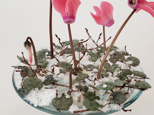 Rosary vine and Cyclamen floral art design