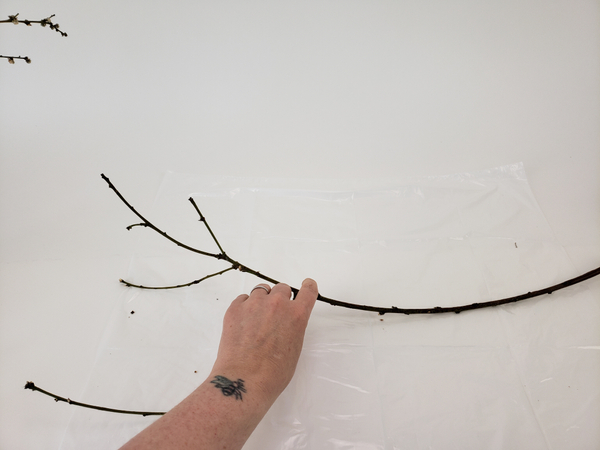 Choose sturdy twigs with a slight curve in it.  Place the stem on a flat working surface.