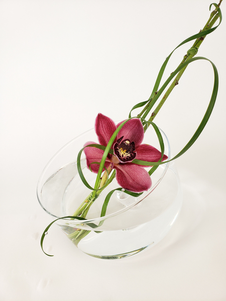 Cymbidium orchid flower arrangement