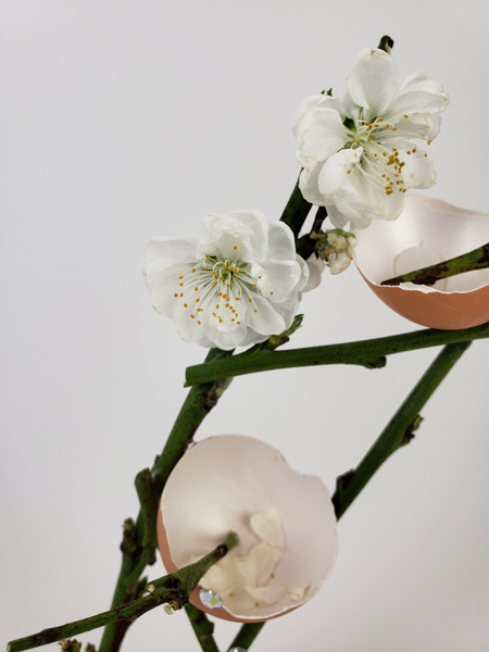 Spring blossom twig flower arrangement