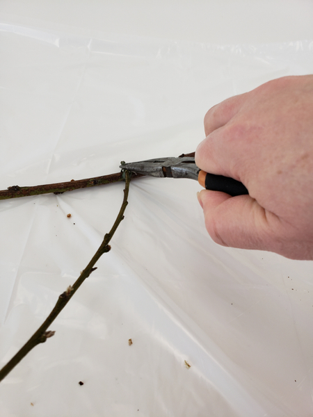 Start to wire twigs into the shape of a cloud