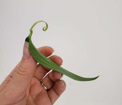 Gently peel leaves from the stalk to create a twisted stem end