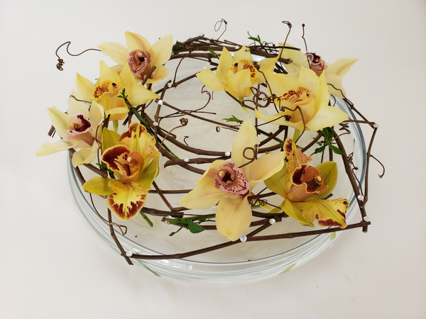 Cymbidium orchids suspended over a shallow container