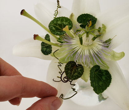 Fill a trumpet shaped flower cup with... more flowers!