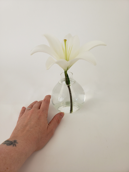 Place the lily to stand facing up in a small bud vase Place the lily to stand facing up in a small bud vase