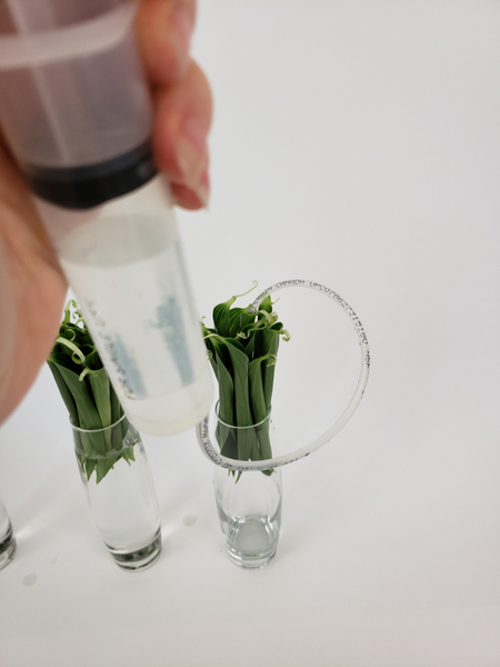Top up the water level to make sure the fresh flower material remains hydrated for as long as possible