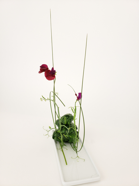 Creative and unusual flower designs