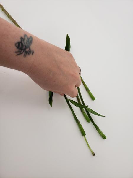 My design was inspired by these lily stems My design was inspired by these lily stems