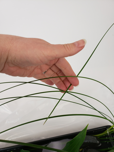 Once you have a slight grid weave in the blades of grass to loop over the design and secure under a rock Once you have a slight grid weave in the blades of grass to loop over the design and secure under a rock