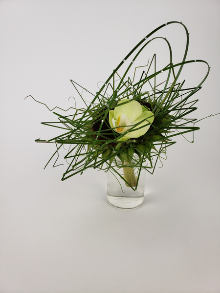 Phalaenopsis orchid and sunflower contemporary floral design