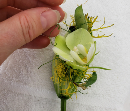 Magnetic Floral Corsage inside a lily pod-bud