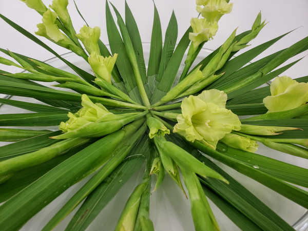 Cut spiked flower stems shorter