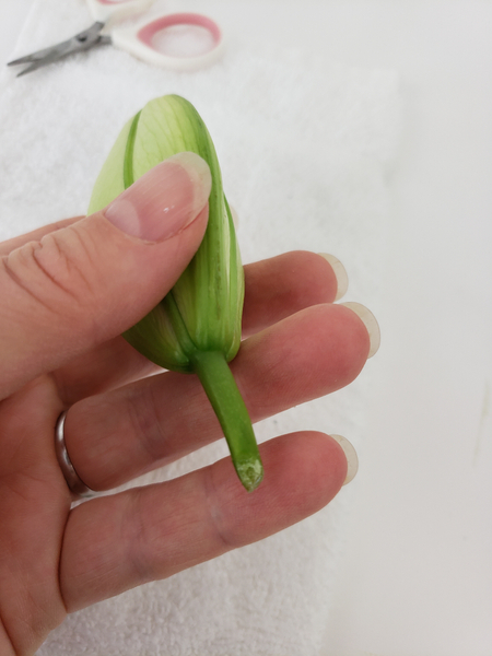 Cut the stem short and seal the wound with a small drop of flower glue