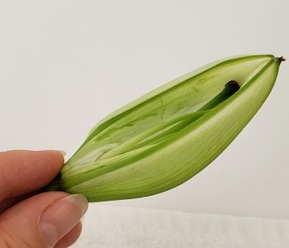 All in one pod