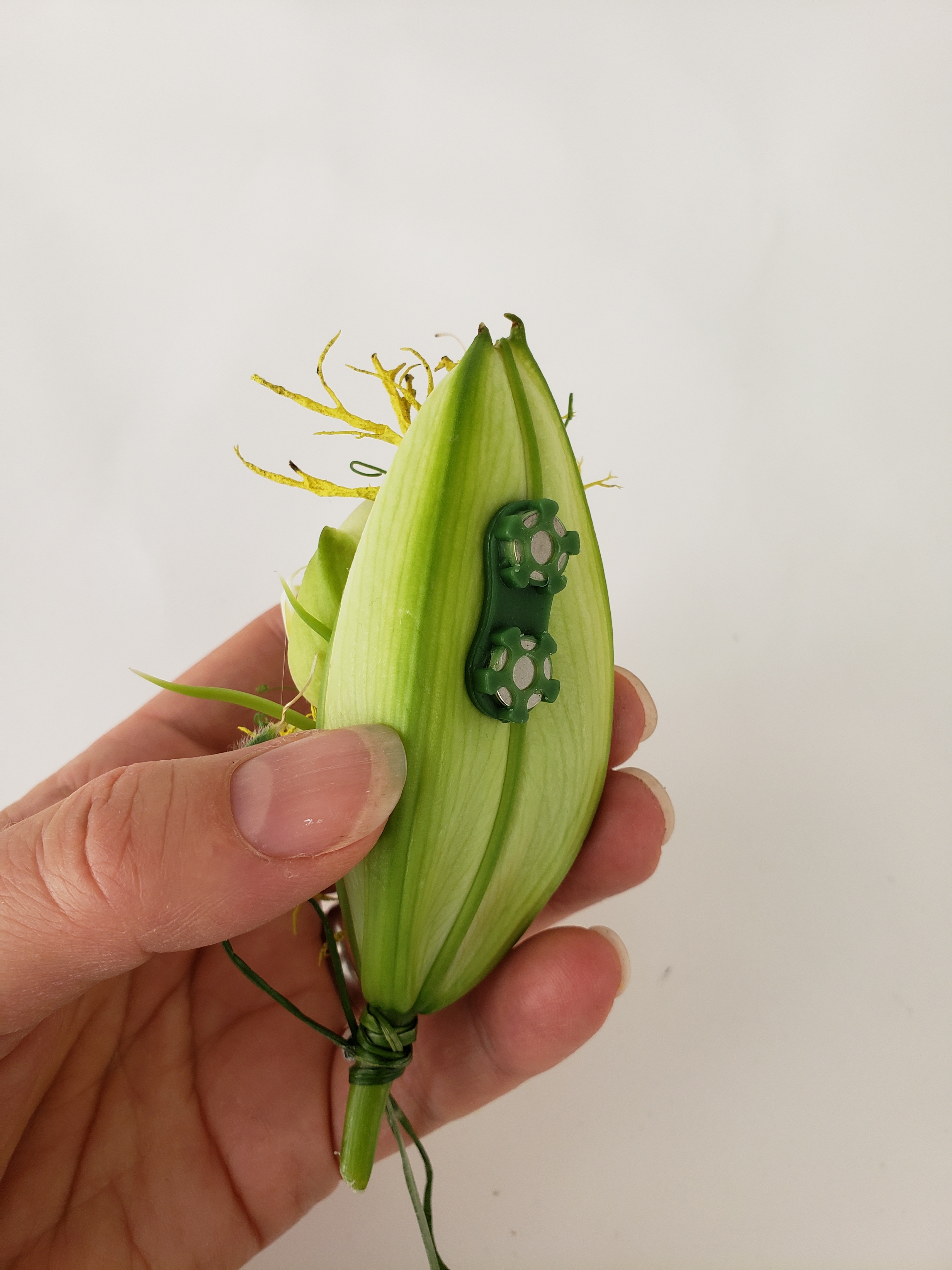 corsage magnets