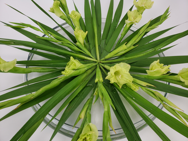 Lime green Gladiolus flower spikes floral design for summer
