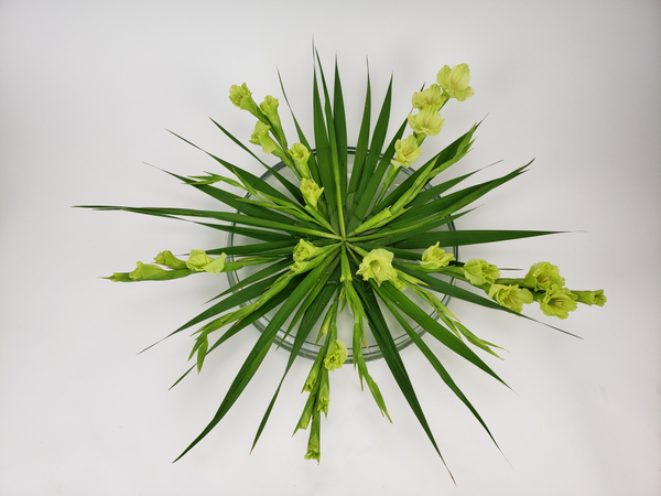 Radiating Gladiolus flower arrangement