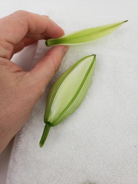 Remove the petal cleanly without bruising or damaging the flower bud Remove the petal cleanly without bruising or damaging the flower bud