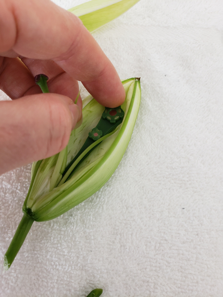 Tutorials - Magnetic Floral Corsage inside a lily pod-bud