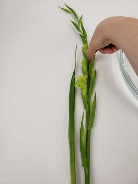 You can tuck the cut stem back into the foliage to use in a design