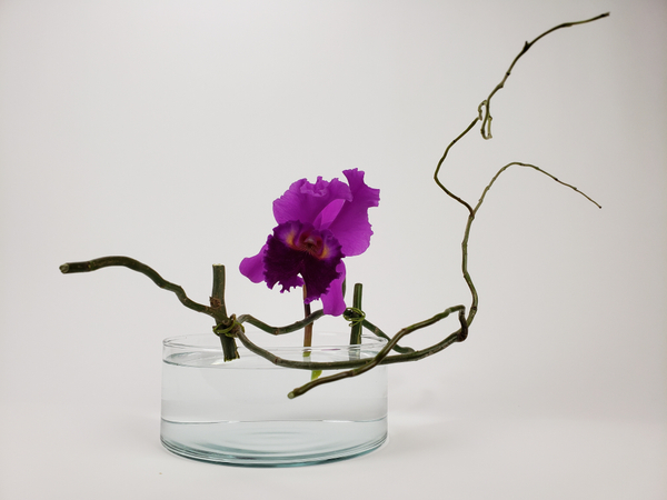 Cattleya orchid ikebana flower arrangement