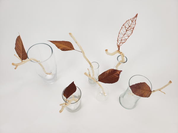 Soft minimalist way of displaying autumn leaves