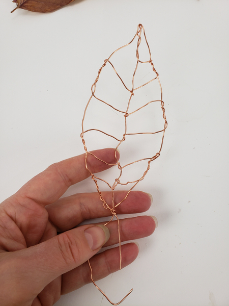 This is the basic skeleton of the leaf