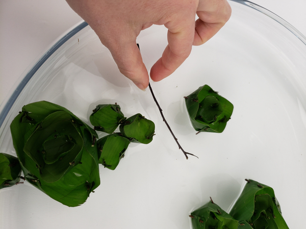 To finish my design I simply dropped twigs into the water to float along with the banana leaf flowers that I made To finish my design I simply dropped twigs into the water to float along with the banana leaf flowers that I made