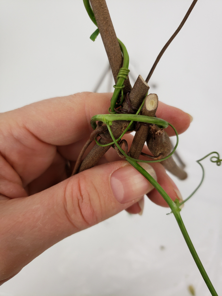 Conceal the wire by wrapping the vine over it Conceal the wire by wrapping the vine over it