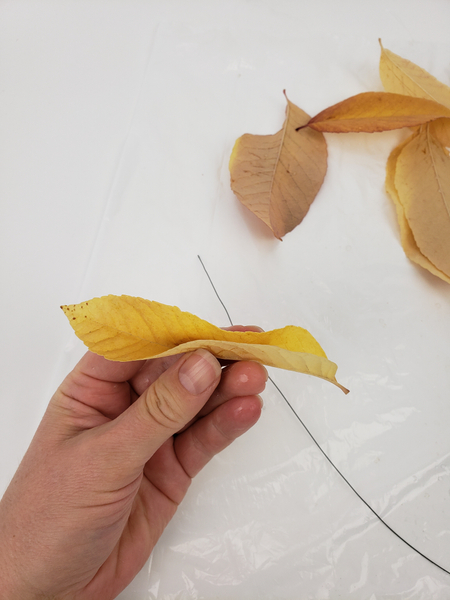 Fold the autumn leaf
