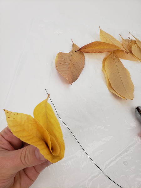 Fold the leaf again